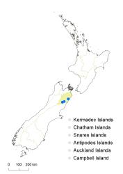 Veronica scrupea distribution map based on databased records at AK, CHR & WELT.
 Image: K.Boardman © Landcare Research 2022 CC-BY 4.0